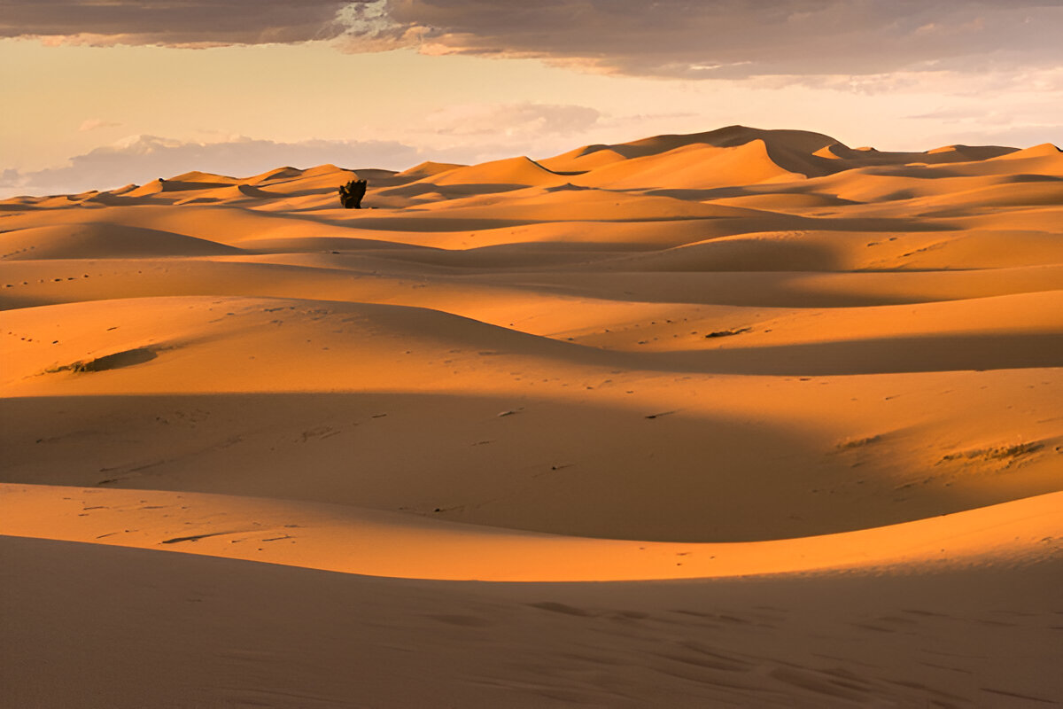 8-Days Circuit From Marrakech to Imperial Cities Sahara Desert