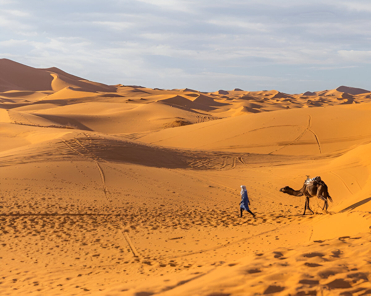 8-Days Circuit From Marrakech to Imperial Cities Sahara Desert