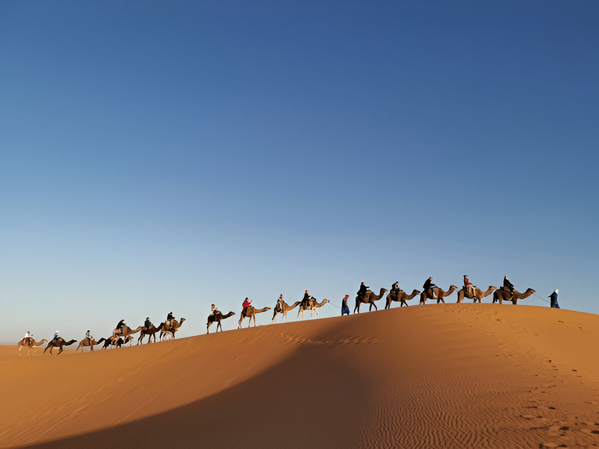 Camel Ride Marrakech
