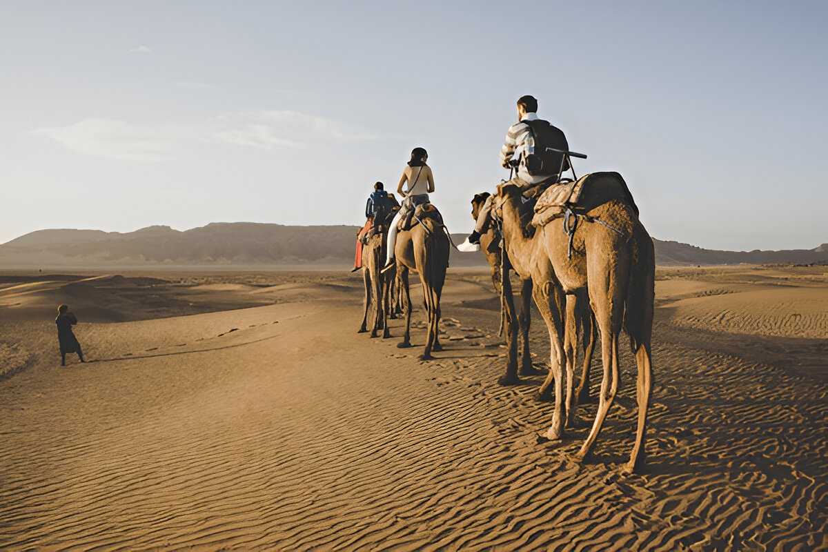Camel Ride Marrakech