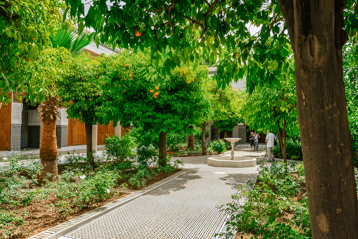 Dar El Bacha Guided Tours