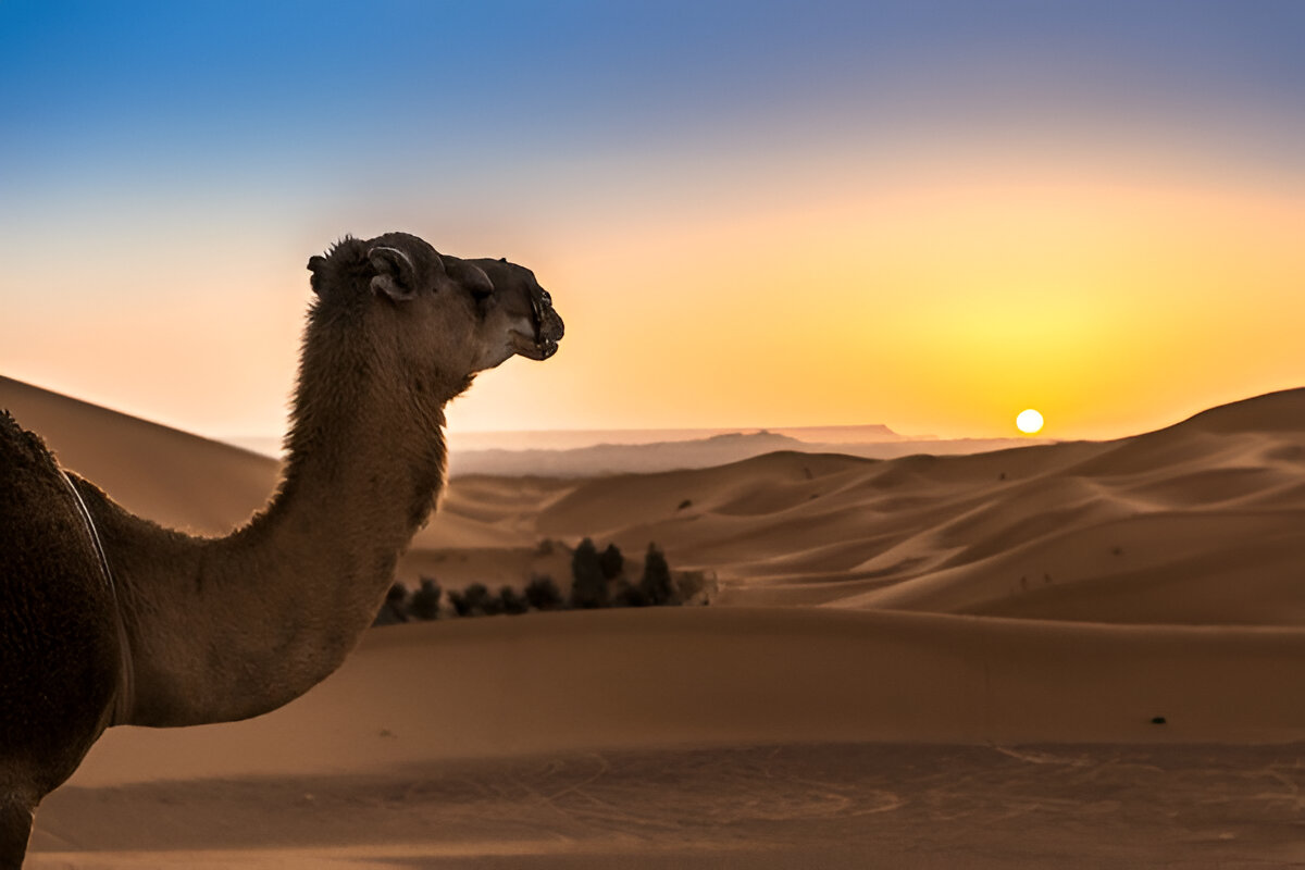 Merzouga (5)