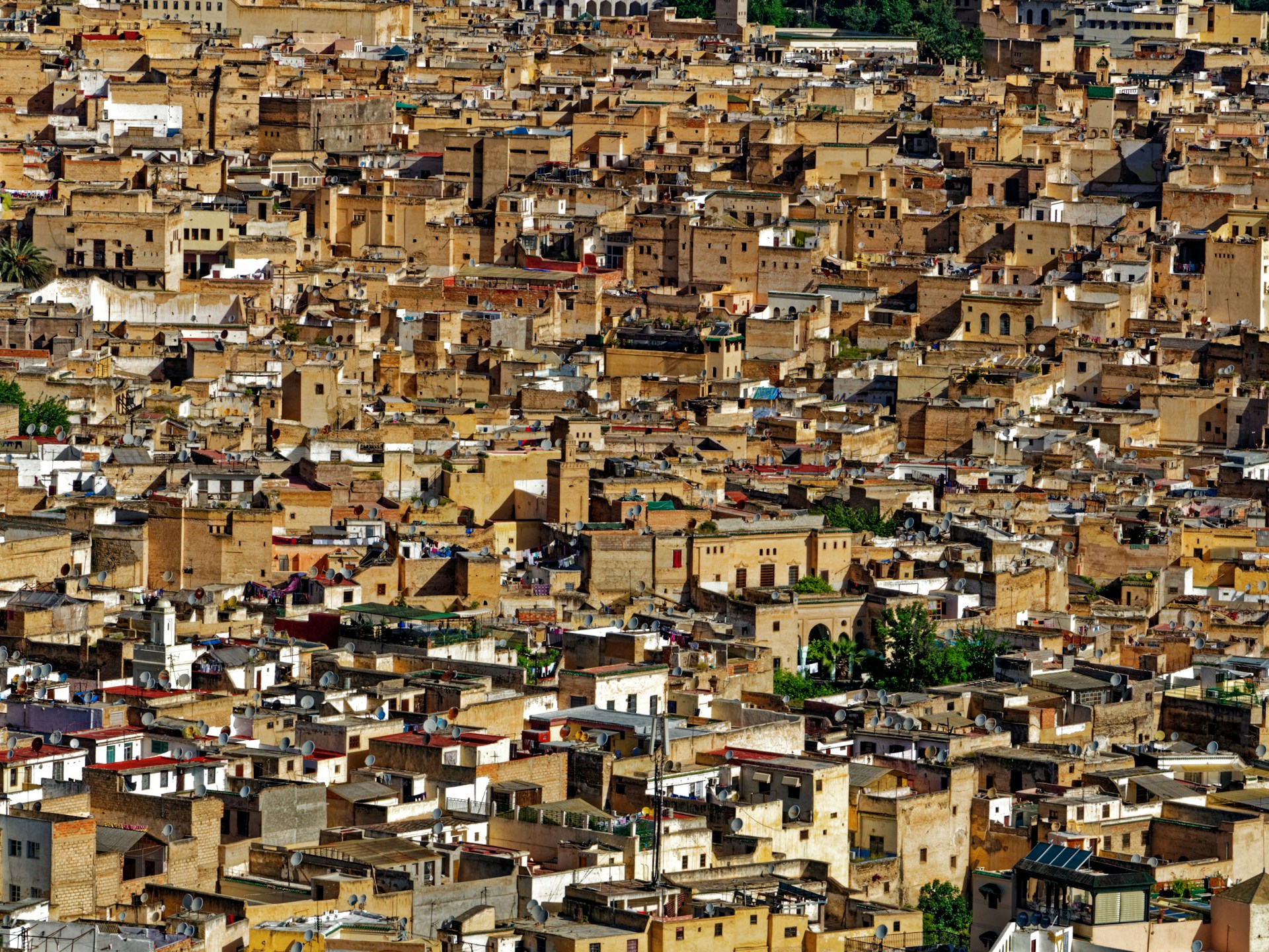 fotografu-LJZianTiCJI-unsplash